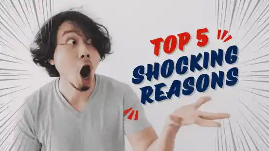 why every business need a website